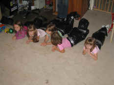 IMG_3752.jpg (1448607 bytes)