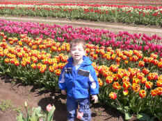 P1000620.JPG (1860869 bytes)