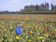 P1000635.JPG (1895962 bytes)