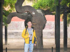 P1000694.JPG (2294006 bytes)