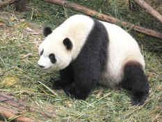 P1000795.JPG (2260097 bytes)