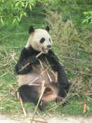 P1000806.JPG (2363392 bytes)