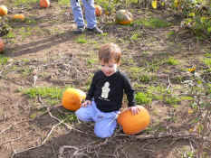 p1000041.jpg (2277873 bytes)