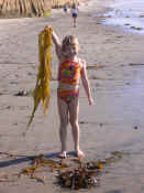 p1000237.jpg (1634770 bytes)